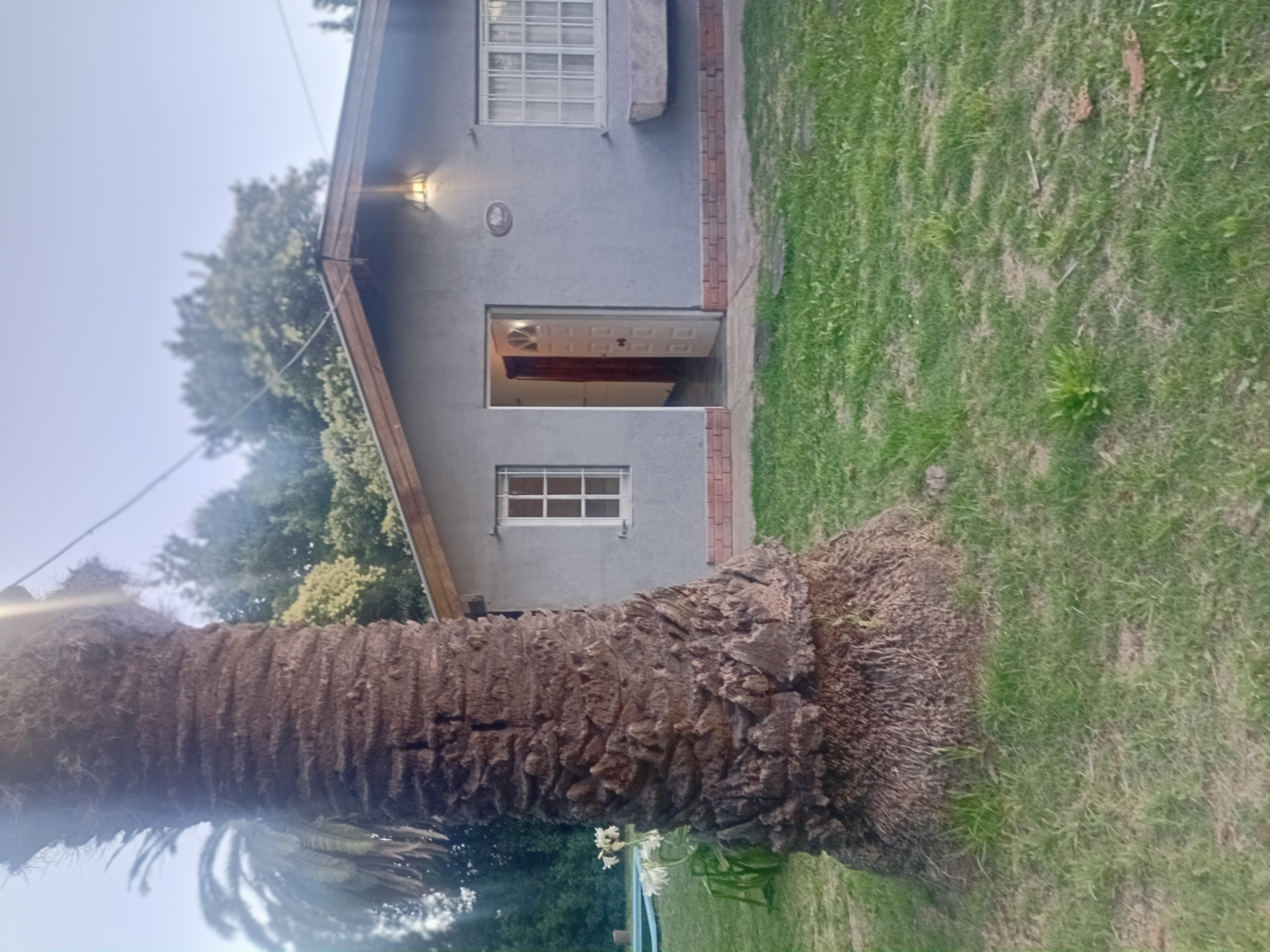 VIVVIENDA EN DOS LOTES AMPLIOS TIPO QUINTA, CON HERMOSA ARBOLEDA, BUEN ENTORNO A POCOS METROS DE LA LAGUNA DE SAN VICENTE, IDEAL PARA QUIEN BUSCA TRANQUILIDAD.

UBICACION: ADOLFO KORN Nº 1080, SAN VICENTE.

CONSTA DE: AMPLIO LIVING-COMEDOR-COCINA, 2 DORMITORIOS, BAÑO, PILETA DE FIBRA DE VIDRIO Y GALPON. SERVICIO LUZ ELECTRICA.

VALOR DE VENTA: U$S 130.000 