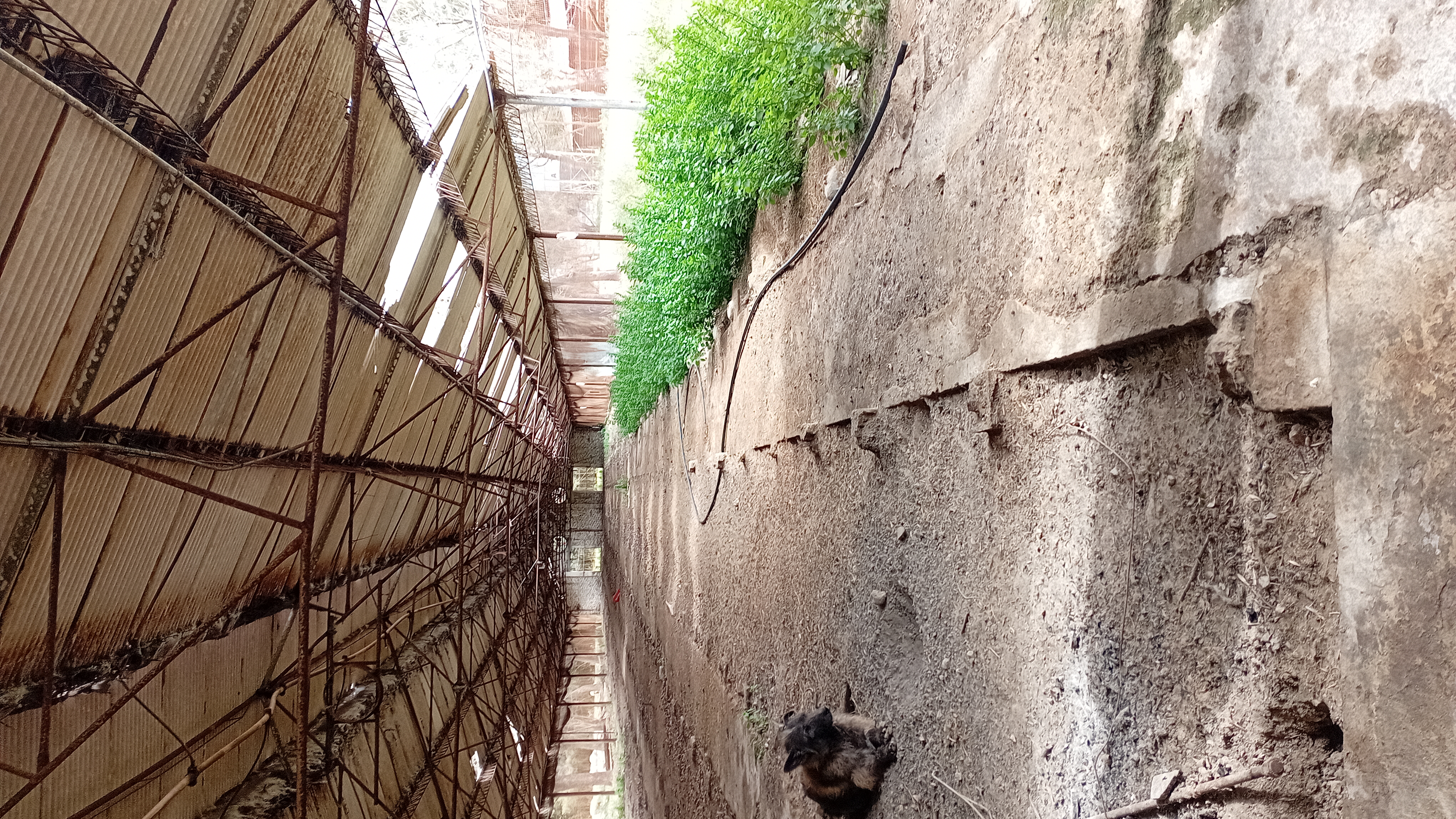 VENTA - 2 HECTAREAS IDEALES PARA SIEMBRA O EMPRENDIMIENTO PRODUCTIVO.

SE VENDEN 2 HECTAREAS DE TERRENO CON EXCELENTES CONDICIONES PARA SIEMBRA, CULTIVO O DESARROLLO DE EMPRENDIMIENTO.

LA PROPIEDAD CUENTA CON GALPONES AMPLIOS, IDEALES PARA ALMACENAMIENTO DE HERRAMIENTAS, MAQUINARIA O MERCADERIA.
SALON DE ATENCION Y/O DISTRIBUCION, ADAPTABLE PARA OFICINA COMERCIAL, PUNTO DE VENTA O LOGISTICA.
VIVIENDA DENTRO DEL PREDIO, COMODA Y FUNCIONAL.
AMPLIO ESPACIO PARA PRODUCCION, CULTIVO O EXPANSION DE INSTALACIONES.

IDEAL PARA PRODUCTORES, VIVEROS, DISTRIBUCION O PROYECTOS MIXTOS (producción + vivienda)

ENTORNO TRANQUILO Y CON GRAN POTENCIAL. 
UNA CALLE DA SOBRE ALBERDI Y LA OTRA CON CHUBUT.

CONSULTAR PARA MAS INFORMACION O COORDINAR VISITA.