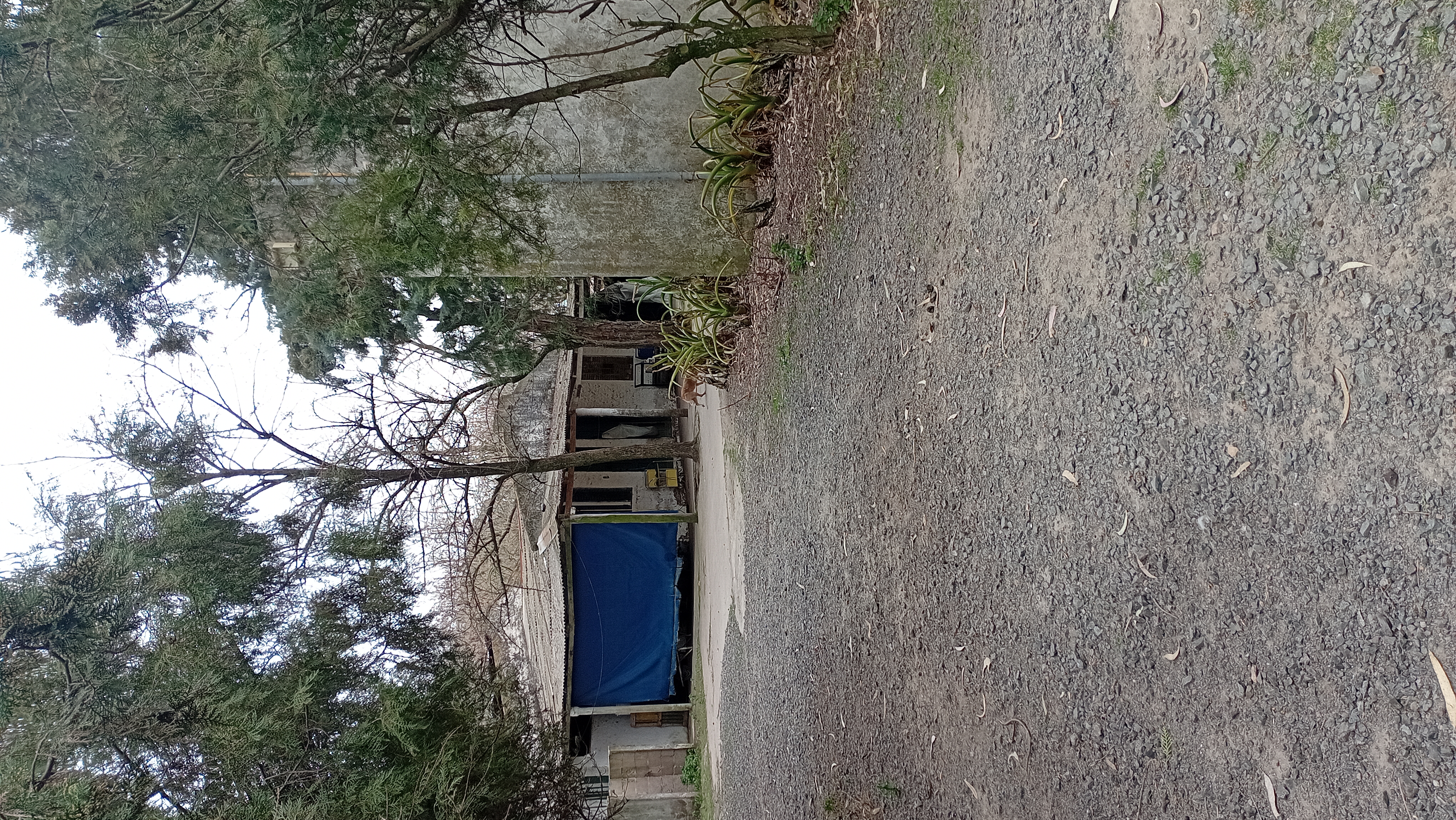 VENTA - 2 HECTAREAS IDEALES PARA SIEMBRA O EMPRENDIMIENTO PRODUCTIVO.

SE VENDEN 2 HECTAREAS DE TERRENO CON EXCELENTES CONDICIONES PARA SIEMBRA, CULTIVO O DESARROLLO DE EMPRENDIMIENTO.

LA PROPIEDAD CUENTA CON GALPONES AMPLIOS, IDEALES PARA ALMACENAMIENTO DE HERRAMIENTAS, MAQUINARIA O MERCADERIA.
SALON DE ATENCION Y/O DISTRIBUCION, ADAPTABLE PARA OFICINA COMERCIAL, PUNTO DE VENTA O LOGISTICA.
VIVIENDA DENTRO DEL PREDIO, COMODA Y FUNCIONAL.
AMPLIO ESPACIO PARA PRODUCCION, CULTIVO O EXPANSION DE INSTALACIONES.

IDEAL PARA PRODUCTORES, VIVEROS, DISTRIBUCION O PROYECTOS MIXTOS (producción + vivienda)

ENTORNO TRANQUILO Y CON GRAN POTENCIAL. 
UNA CALLE DA SOBRE ALBERDI Y LA OTRA CON CHUBUT.

CONSULTAR PARA MAS INFORMACION O COORDINAR VISITA.