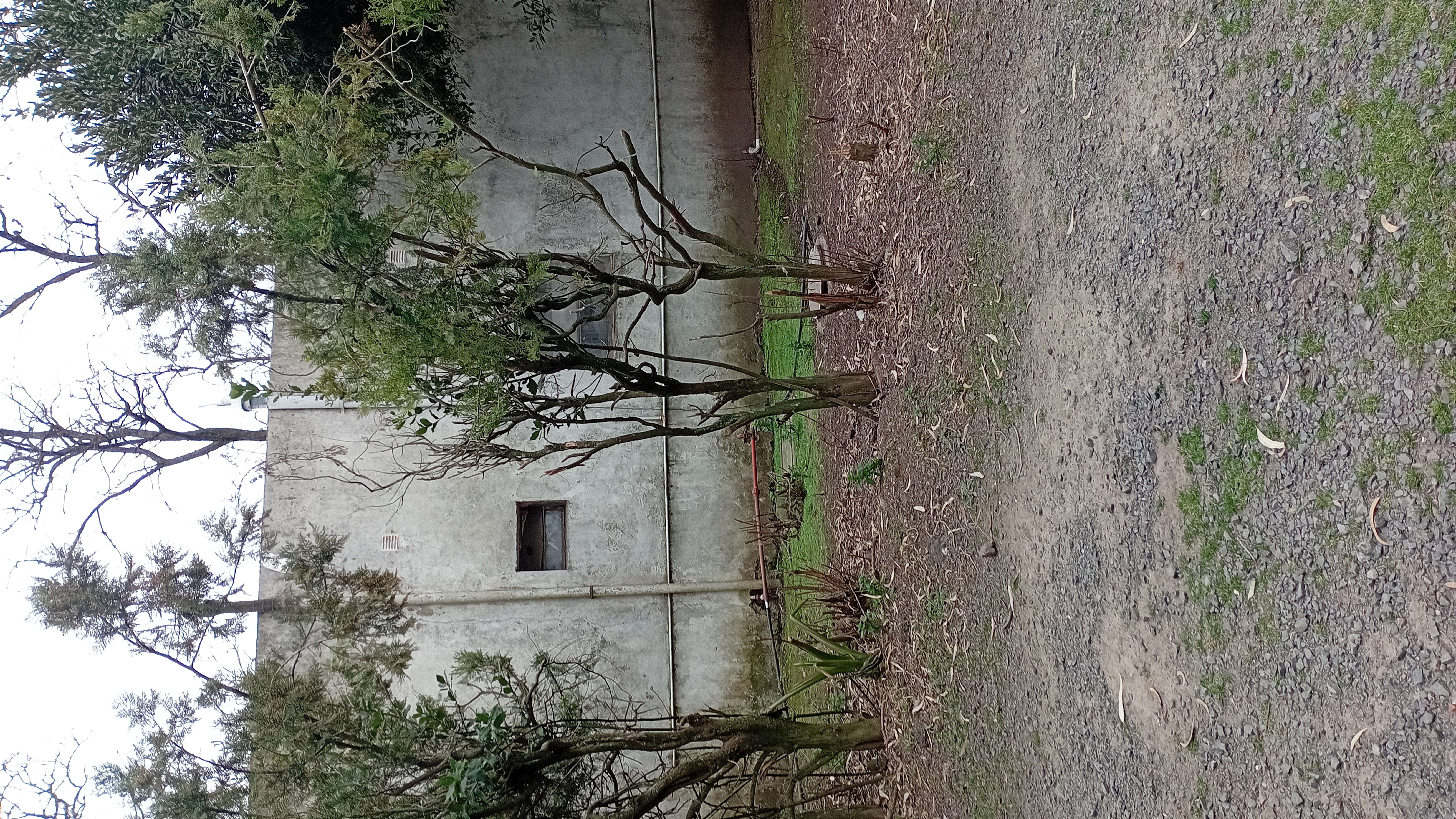 VENTA - 2 HECTAREAS IDEALES PARA SIEMBRA O EMPRENDIMIENTO PRODUCTIVO.

SE VENDEN 2 HECTAREAS DE TERRENO CON EXCELENTES CONDICIONES PARA SIEMBRA, CULTIVO O DESARROLLO DE EMPRENDIMIENTO.

LA PROPIEDAD CUENTA CON GALPONES AMPLIOS, IDEALES PARA ALMACENAMIENTO DE HERRAMIENTAS, MAQUINARIA O MERCADERIA.
SALON DE ATENCION Y/O DISTRIBUCION, ADAPTABLE PARA OFICINA COMERCIAL, PUNTO DE VENTA O LOGISTICA.
VIVIENDA DENTRO DEL PREDIO, COMODA Y FUNCIONAL.
AMPLIO ESPACIO PARA PRODUCCION, CULTIVO O EXPANSION DE INSTALACIONES.

IDEAL PARA PRODUCTORES, VIVEROS, DISTRIBUCION O PROYECTOS MIXTOS (producción + vivienda)

ENTORNO TRANQUILO Y CON GRAN POTENCIAL. 
UNA CALLE DA SOBRE ALBERDI Y LA OTRA CON CHUBUT.

CONSULTAR PARA MAS INFORMACION O COORDINAR VISITA.