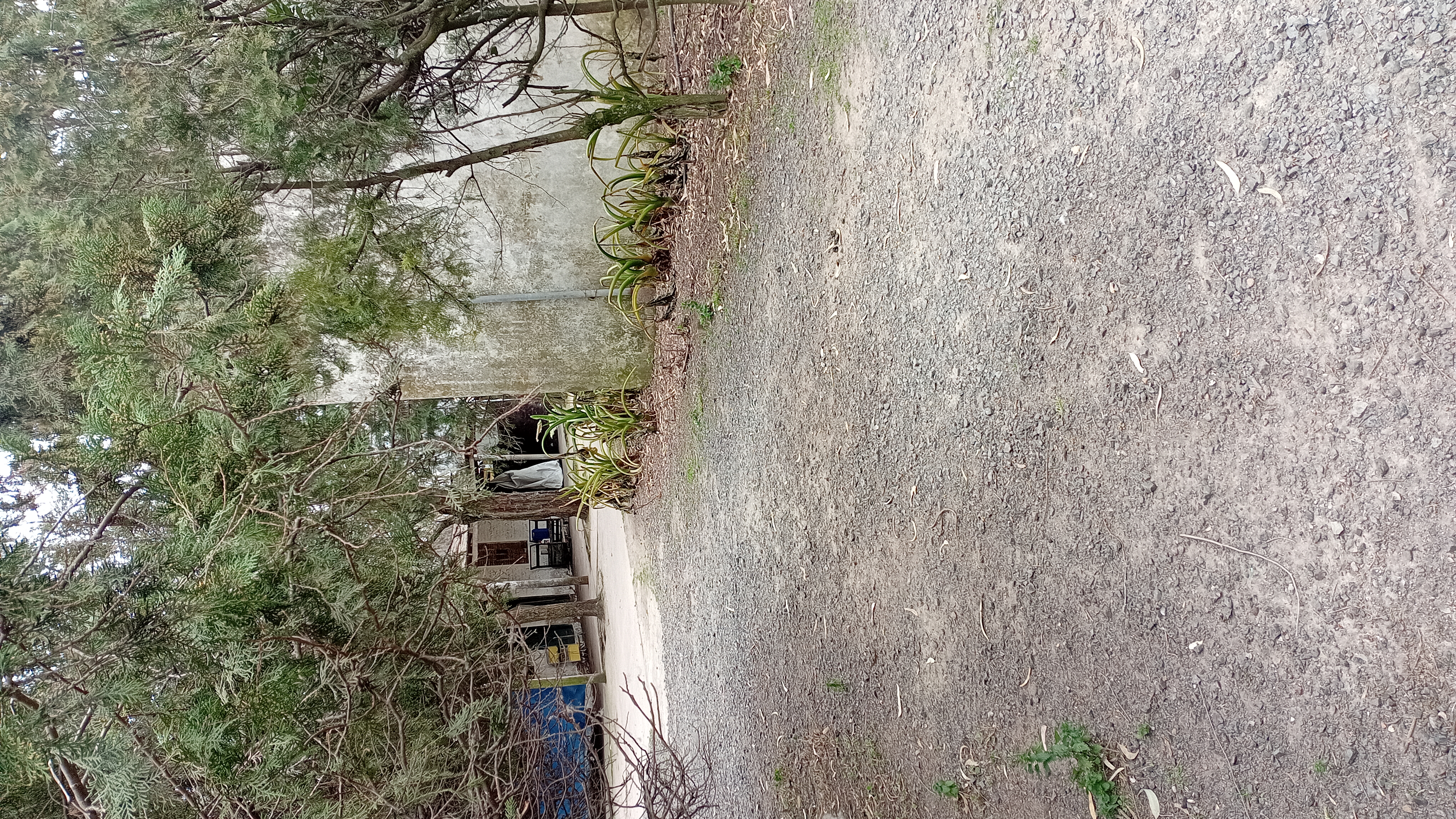 VENTA - 2 HECTAREAS IDEALES PARA SIEMBRA O EMPRENDIMIENTO PRODUCTIVO.

SE VENDEN 2 HECTAREAS DE TERRENO CON EXCELENTES CONDICIONES PARA SIEMBRA, CULTIVO O DESARROLLO DE EMPRENDIMIENTO.

LA PROPIEDAD CUENTA CON GALPONES AMPLIOS, IDEALES PARA ALMACENAMIENTO DE HERRAMIENTAS, MAQUINARIA O MERCADERIA.
SALON DE ATENCION Y/O DISTRIBUCION, ADAPTABLE PARA OFICINA COMERCIAL, PUNTO DE VENTA O LOGISTICA.
VIVIENDA DENTRO DEL PREDIO, COMODA Y FUNCIONAL.
AMPLIO ESPACIO PARA PRODUCCION, CULTIVO O EXPANSION DE INSTALACIONES.

IDEAL PARA PRODUCTORES, VIVEROS, DISTRIBUCION O PROYECTOS MIXTOS (producción + vivienda)

ENTORNO TRANQUILO Y CON GRAN POTENCIAL. 
UNA CALLE DA SOBRE ALBERDI Y LA OTRA CON CHUBUT.

CONSULTAR PARA MAS INFORMACION O COORDINAR VISITA.