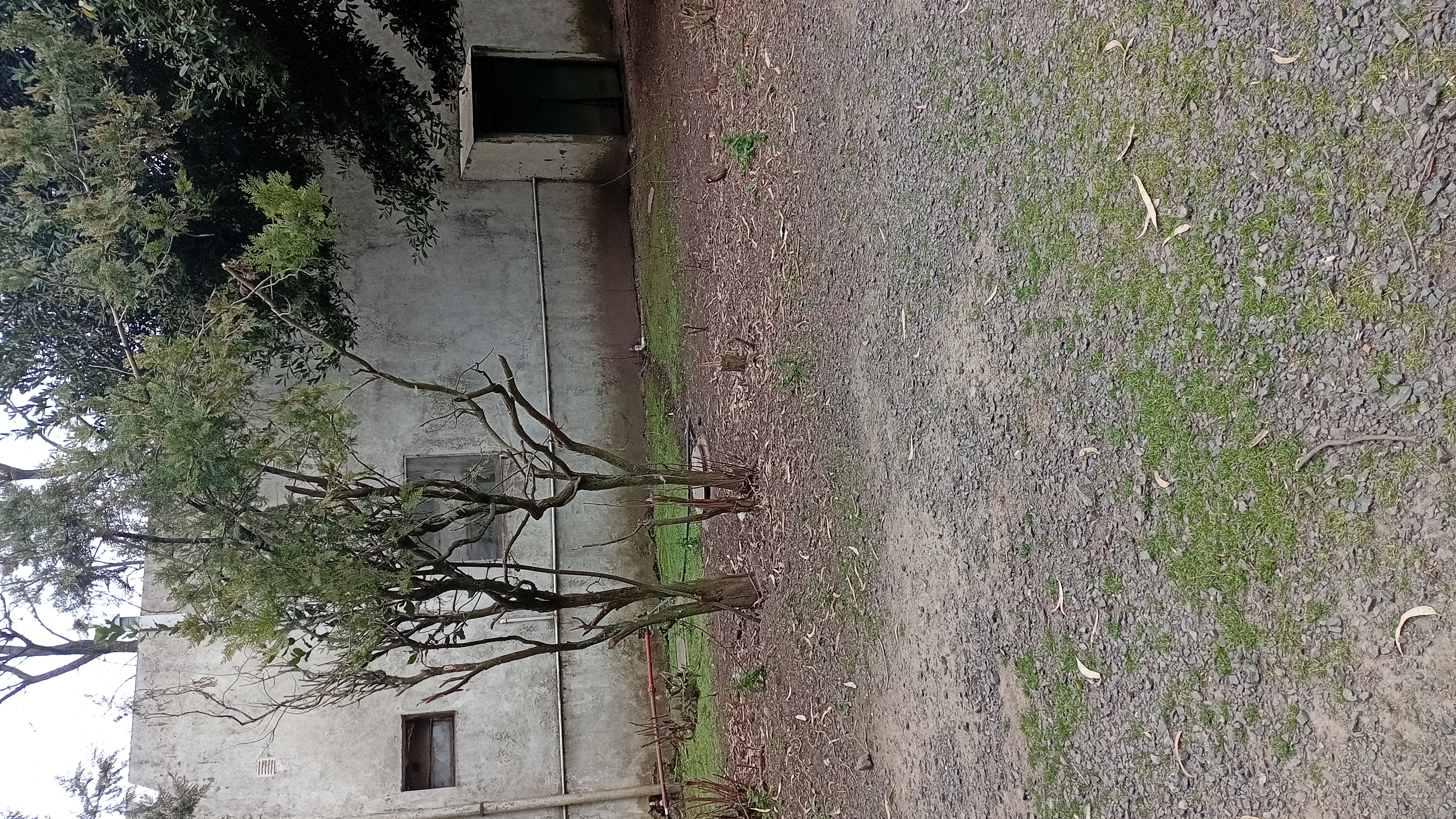 VENTA - 2 HECTAREAS IDEALES PARA SIEMBRA O EMPRENDIMIENTO PRODUCTIVO.

SE VENDEN 2 HECTAREAS DE TERRENO CON EXCELENTES CONDICIONES PARA SIEMBRA, CULTIVO O DESARROLLO DE EMPRENDIMIENTO.

LA PROPIEDAD CUENTA CON GALPONES AMPLIOS, IDEALES PARA ALMACENAMIENTO DE HERRAMIENTAS, MAQUINARIA O MERCADERIA.
SALON DE ATENCION Y/O DISTRIBUCION, ADAPTABLE PARA OFICINA COMERCIAL, PUNTO DE VENTA O LOGISTICA.
VIVIENDA DENTRO DEL PREDIO, COMODA Y FUNCIONAL.
AMPLIO ESPACIO PARA PRODUCCION, CULTIVO O EXPANSION DE INSTALACIONES.

IDEAL PARA PRODUCTORES, VIVEROS, DISTRIBUCION O PROYECTOS MIXTOS (producción + vivienda)

ENTORNO TRANQUILO Y CON GRAN POTENCIAL. 
UNA CALLE DA SOBRE ALBERDI Y LA OTRA CON CHUBUT.

CONSULTAR PARA MAS INFORMACION O COORDINAR VISITA.