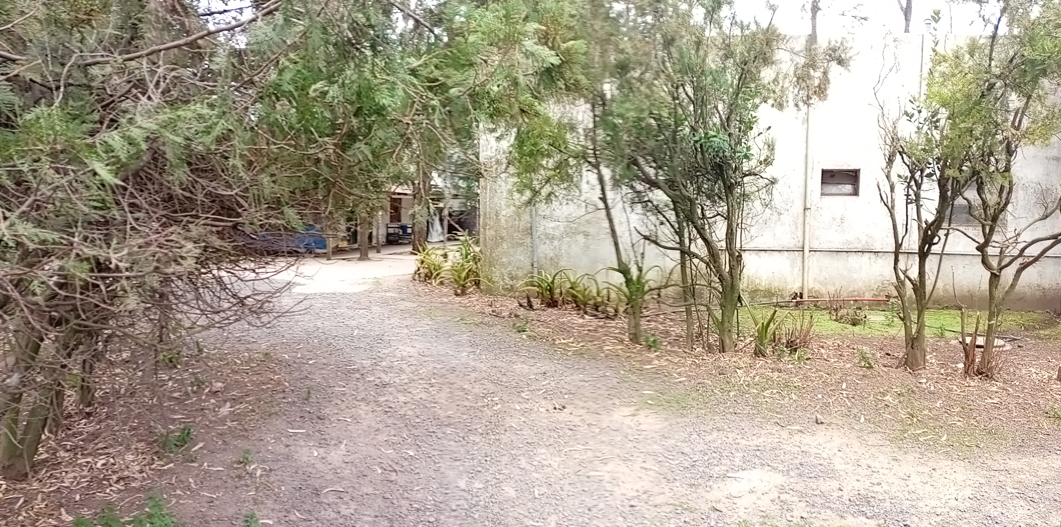 VENTA - 2 HECTAREAS IDEALES PARA SIEMBRA O EMPRENDIMIENTO PRODUCTIVO.

SE VENDEN 2 HECTAREAS DE TERRENO CON EXCELENTES CONDICIONES PARA SIEMBRA, CULTIVO O DESARROLLO DE EMPRENDIMIENTO.

LA PROPIEDAD CUENTA CON GALPONES AMPLIOS, IDEALES PARA ALMACENAMIENTO DE HERRAMIENTAS, MAQUINARIA O MERCADERIA.
SALON DE ATENCION Y/O DISTRIBUCION, ADAPTABLE PARA OFICINA COMERCIAL, PUNTO DE VENTA O LOGISTICA.
VIVIENDA DENTRO DEL PREDIO, COMODA Y FUNCIONAL.
AMPLIO ESPACIO PARA PRODUCCION, CULTIVO O EXPANSION DE INSTALACIONES.

IDEAL PARA PRODUCTORES, VIVEROS, DISTRIBUCION O PROYECTOS MIXTOS (producción + vivienda)

ENTORNO TRANQUILO Y CON GRAN POTENCIAL. 
UNA CALLE DA SOBRE ALBERDI Y LA OTRA CON CHUBUT.

CONSULTAR PARA MAS INFORMACION O COORDINAR VISITA.